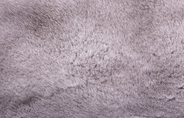 Natural mink fur texture