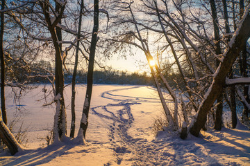 The snow covered the trees and the ground tightly. No trace is visible on the ice of the city’s...