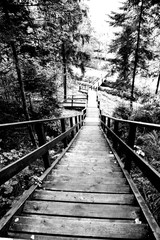 Fototapeta premium old wooden bridge in the forest