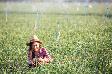 Farmers smiling women, recording happy and happy results in the onion plots with notebook