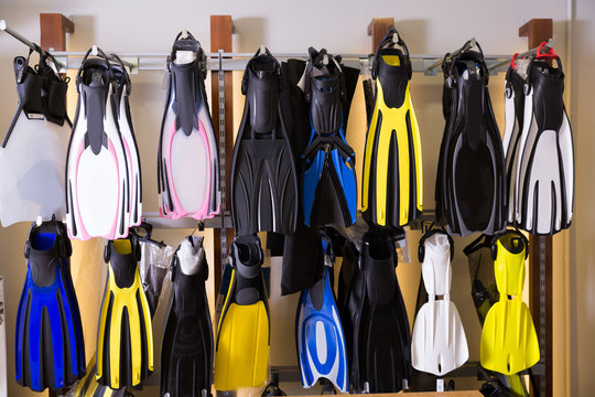 Image of the variety flippers in the diving store