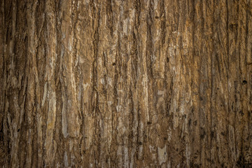 wood texture background