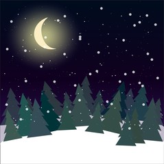 forest at night with pine trees vector