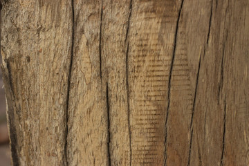 wood texture background
