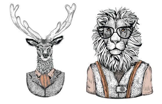 Cartoon Stylish Animals Dressed In Fashion Clothes