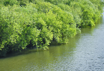 川　木　春　素材