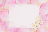 Blank love greeting card on pink rose flower petals