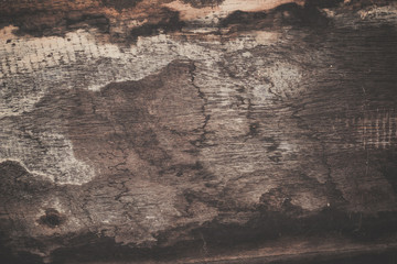 wood texture background