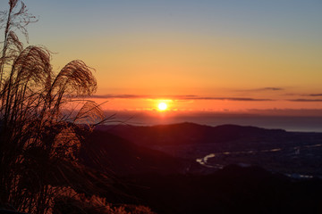 朝焼け・日の出・ススキ