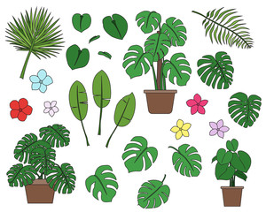 Set of hand drawn tropical plants in cartoon doodle style including cheese plants, banana leaf, pot plants and flowers. Colour filled.