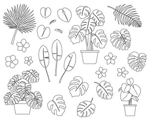 Set of hand drawn tropical plants in cartoon doodle style including cheese plants, banana leaf, pot plants and flowers. Unfilled outline.