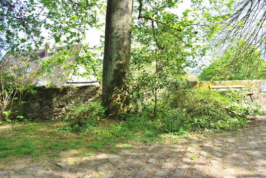 Park Schloss Braunfels
