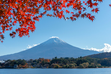 Mountain Fuji with blurred maple leaves in foreground at lake Kawaguchiko ,Yamanashi Prefecture is...