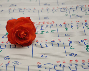 A sheet of music with an orange rose