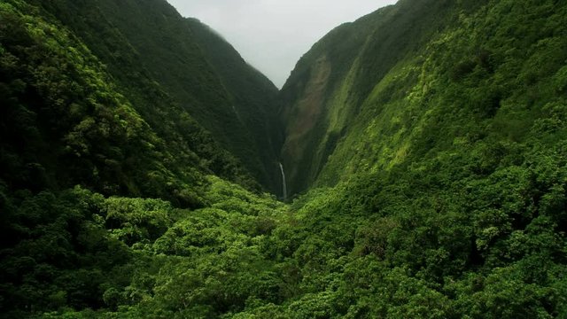 Aerial view tropical rainforest cliffs remote waterfalls Hawaii