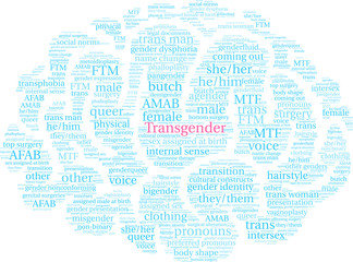 Transgender Word Cloud on a white background. 