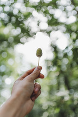 New Life in my Hand III