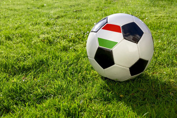 Fototapeta na wymiar Football on a grass pitch with Hungary Flag.