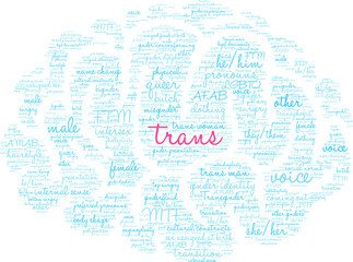 Fototapeta na wymiar Trans Word Cloud on a white background. 