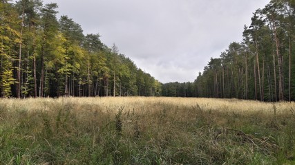 Fototapeta premium Őrség National Park - Hungary