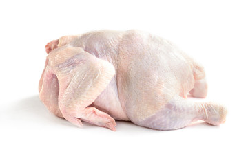 Raw chicken isolated on white background.