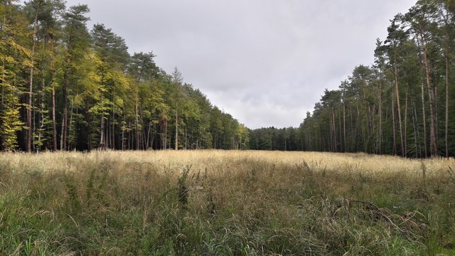 Őrs&eacute;g National Park - Hungary