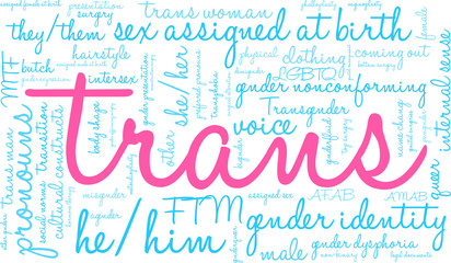 Trans Word Cloud on a white background. 