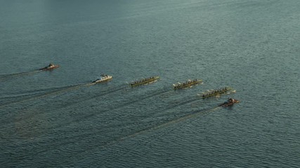 Aerial view rowing boats Charles river Boston USA