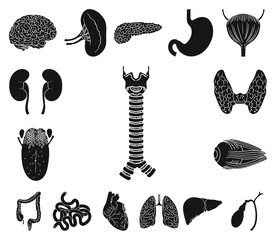 Human organs black icons in set collection for design. Anatomy and internal organs vector symbol stock web illustration.