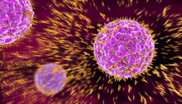 3d illustration of antibodies attacking virus cell into the bloodstream