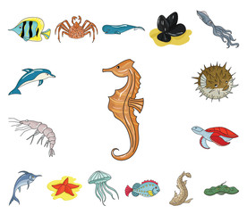 A variety of marine animals cartoon icons in set collection for design. Fish and shellfish vector symbol stock web illustration.