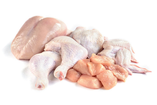 Raw chicken breast, fillets, legs, thighs and wings isolated on white background. Chicken meat with different parts of chicken carcass separated and chopped.
