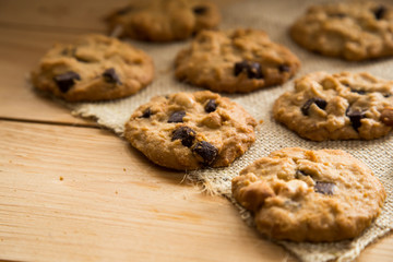 Delicious Chocolate Chip Cookies with Macadamia integrifolia Cookies on a Tray