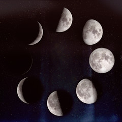 Phases of the Moon: waxing crescent, first quarter, waxing gibbous, full moon, waning gibbous,...