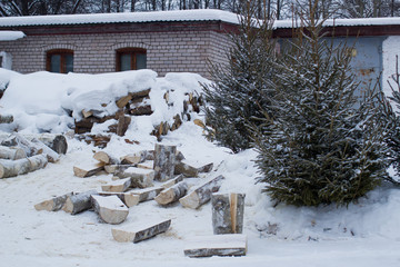 preparation of firewood for the stove in winter