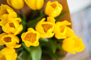 A bouquet of yellow tulips. A gift to a woman's day from yellow tulip flowers. Spring. spring flowers. selective focus.