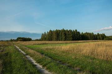 Fototapeta na wymiar Road through fields, small forest and clouds on blue sky