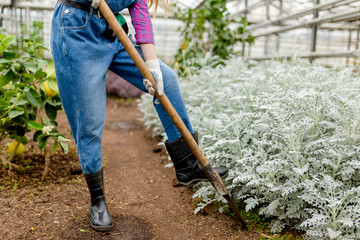 young female gardener using a shovel to plant flowers. close up cropped photo. lifestyle, country life