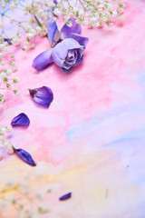 Lilac flowers, white flowers and flower petals lie on a watercolor background. The view from the top. Flat position, top view