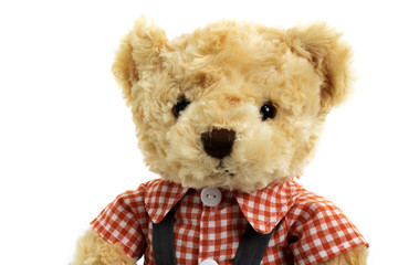 Portrait of dressed toy teddy bear in shirt and trousers on white background