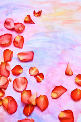 background for greeting card women's day, Valentine's Day. Red rose petals and lie on a watercolor background in delicate pink, blue, yellow shades