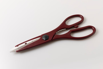 Seafood Scissors on white background