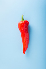 Sweet red pepper over blue background, top view 