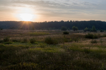 Sunrise. Early morning in the green meadow and trees and bushes far away. Summer landscape