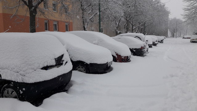 snowy streets in the city