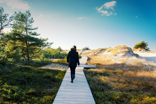 Back view of a young girl walking on a wooden boardwalk path in the beach dunes Nationalpark Vorpommersche Boddenlandschaft at sunny winter day. German Baltic Sea coastline at Fischland-Darss-Zingst