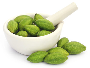 Fresh green medicinal haritaki