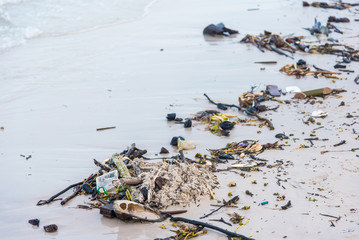 Branch tree plastic rubbish dump on sand sea beach from deep sea after finish strong wind.Thailand.