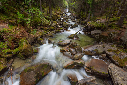 Forest stream in mountains at spring