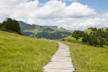 Wooden path at dolomite meadow